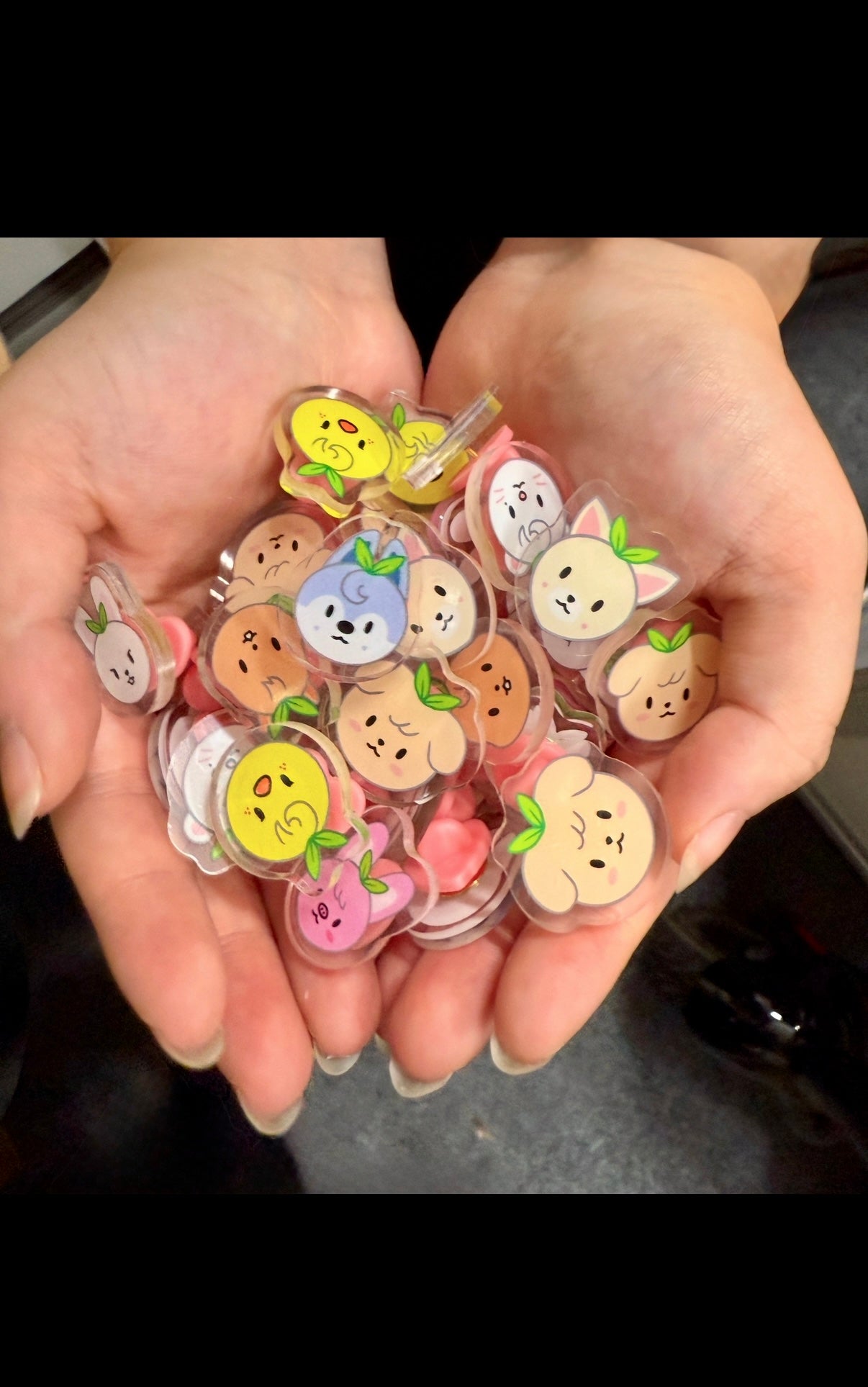 Acrylic SKZOO Sprout Pin Collection