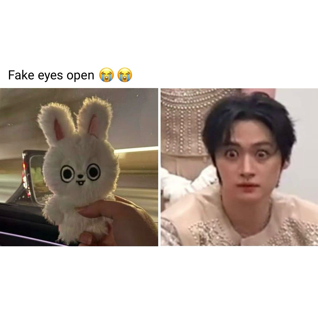 Leebit Fake Eyes Open Plushies