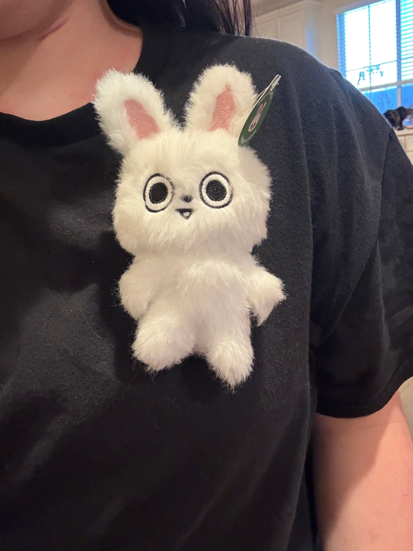 Leebit Fake Eyes Open Plushies