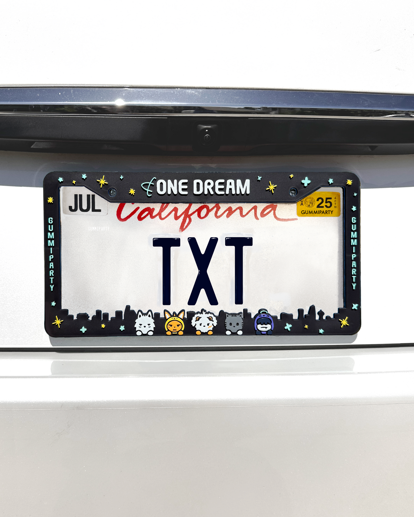 TXT License Plate