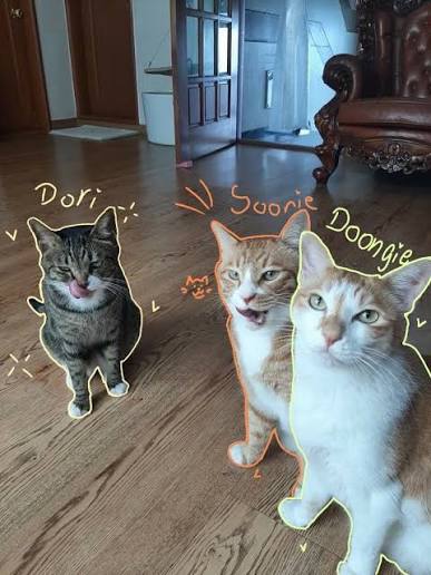 Fake Eyes Open Soonie Doongie Dori Keychains