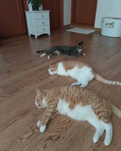 Fake Eyes Open Soonie Doongie Dori Keychains