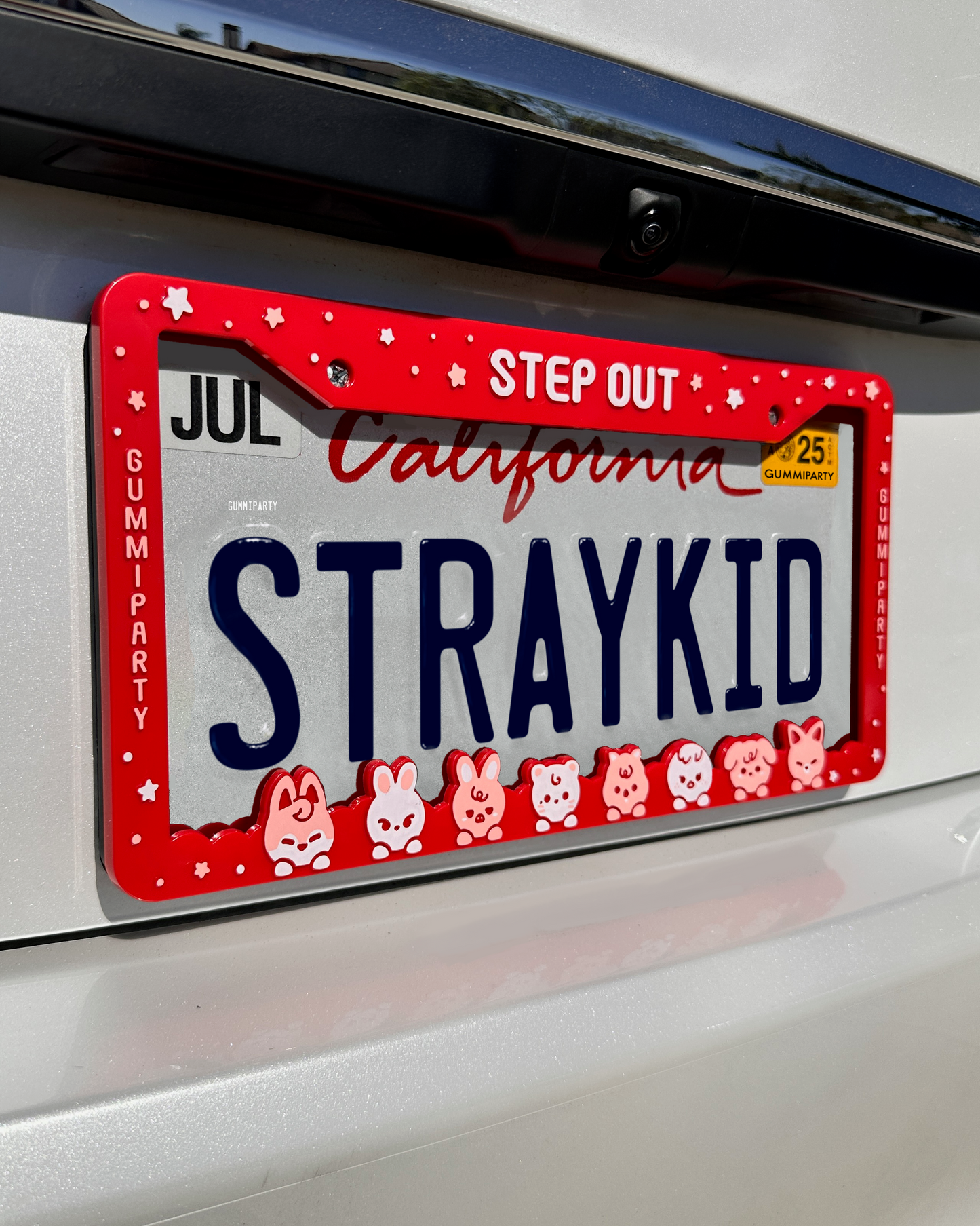 SKZOO License Plate Red