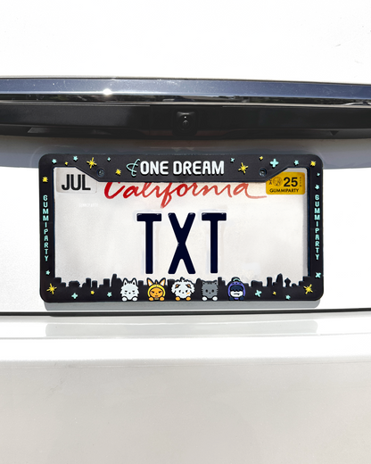TXT License Plate